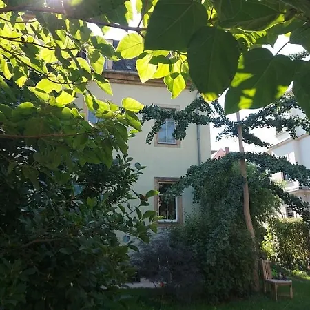 Lebensart Comfortable 드레스덴