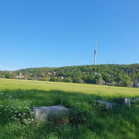 Lebensart Comfortable 펜션